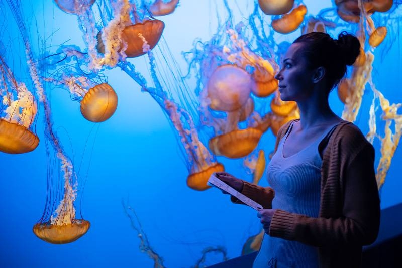 Groupe & Evénement - Là-Haut - Restaurant La Rochelle - Restaurant La Rochelle centre ville